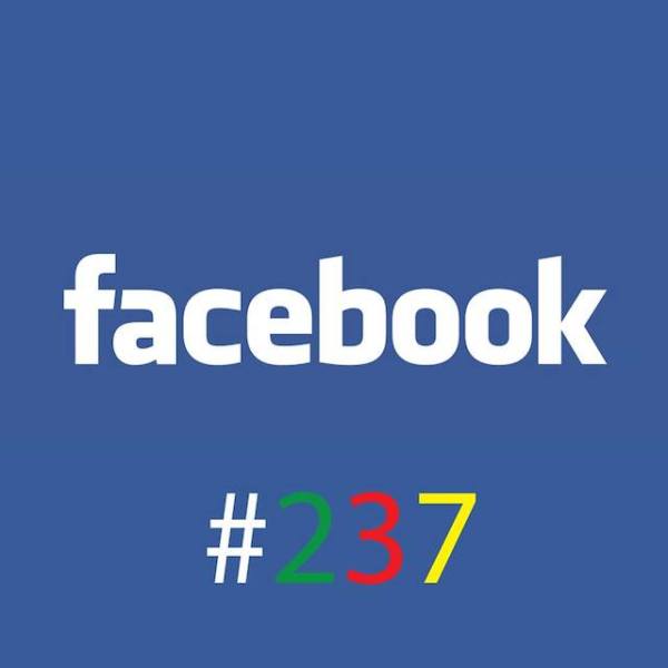 recap-statistiques-pages-facebook-cameroun-decembre-2013