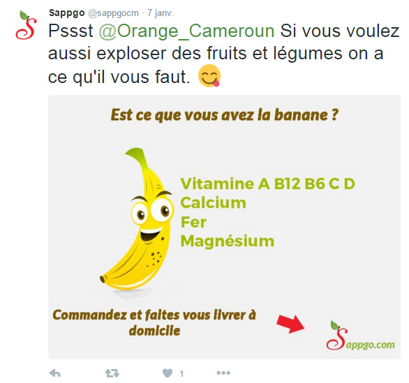 Sappgo sur Twitter 2