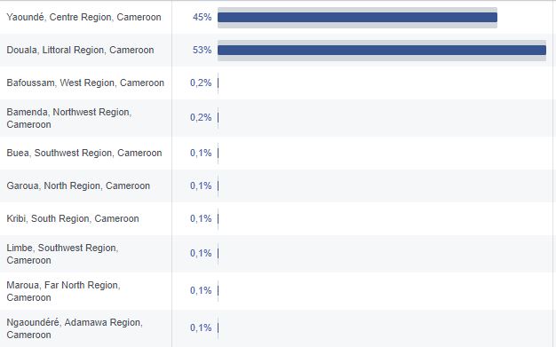 Facebook Cameroun 2017 Chiffres 4