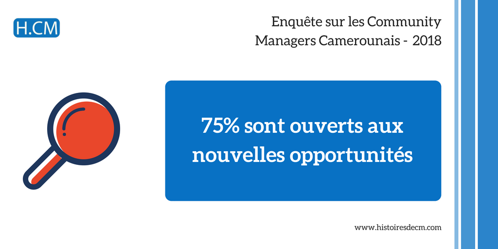 Enquête Community Manager Cameroun 2018 (3)